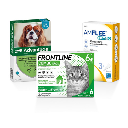 Tiermedizin