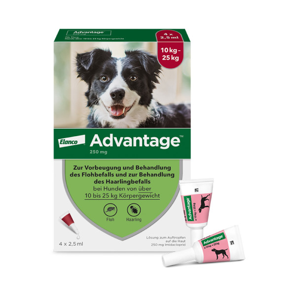 Advantage Spot-On für Hunde von 10 bis 25 kg Körpergewicht, schneller und effektiver Flohschutz für bis zu 4 Wochen
