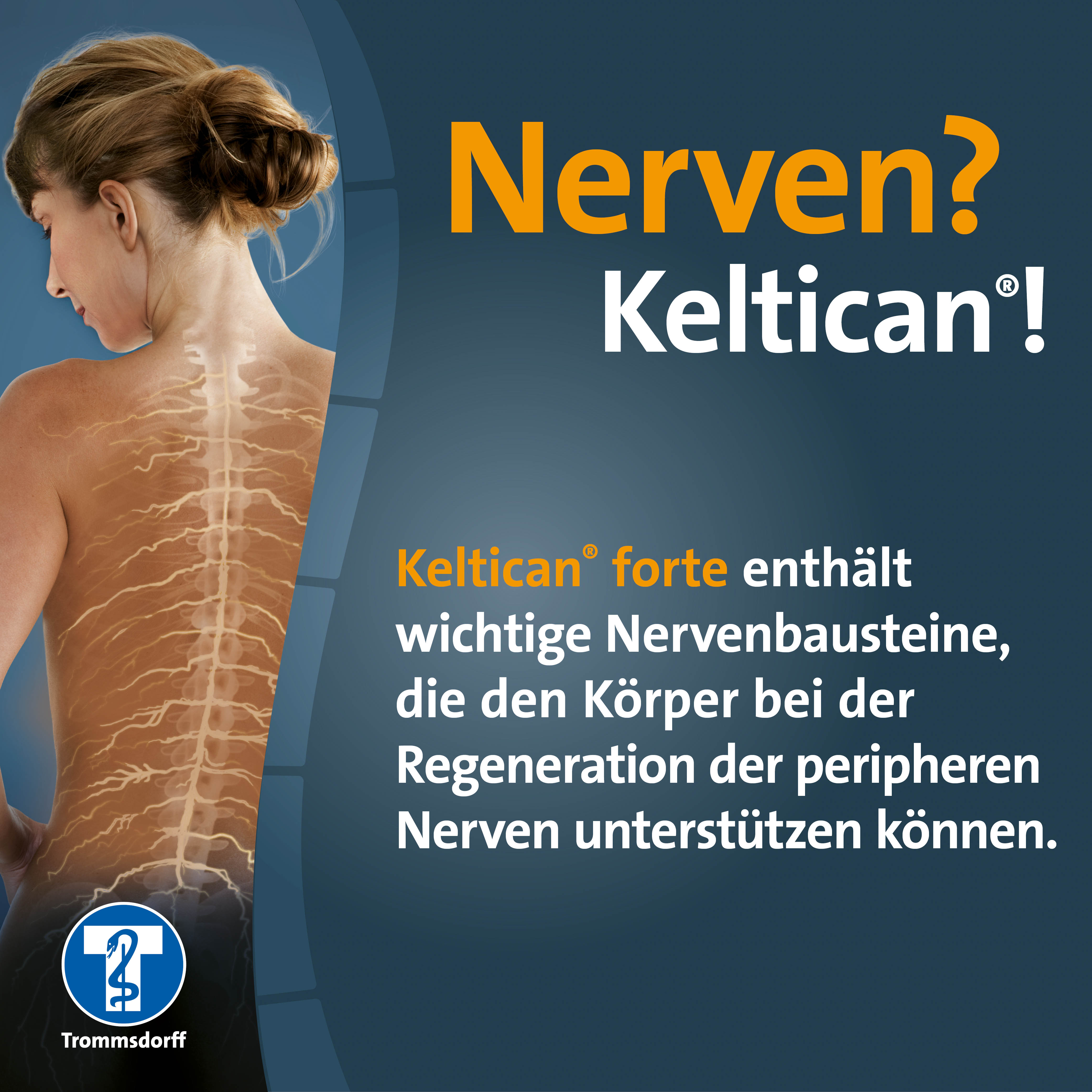 KELTICAN forte Kapseln