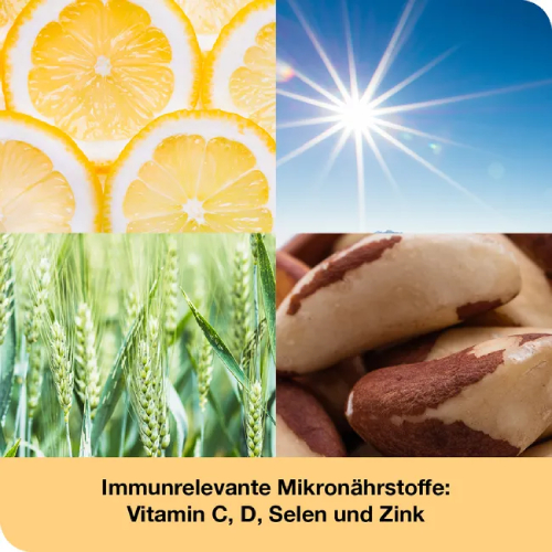 IMMUNLOGES Kapseln