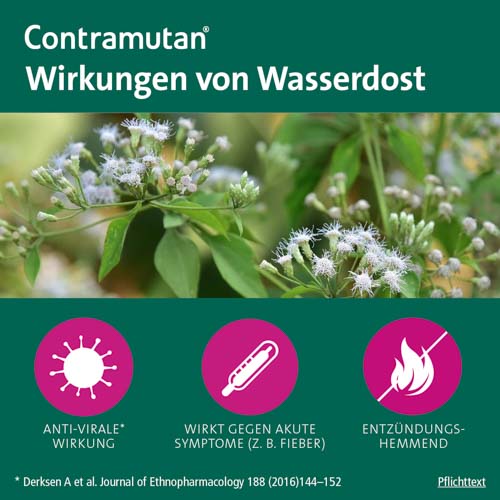 CONTRAMUTAN Sirup